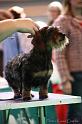 Crufts2011_2 1011